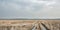 Tire tracks with frozen water in wide plain with high yellow grass and cloudy sky.