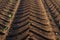 Tire tracks of a heavy harvester in brown earth