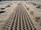 Tire tread marks from car or atv on sandy beach on sunny day