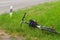 Tired bicycle lying in the grass