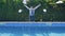 Tired businessman throws documents and jumps in swimming pool in suit