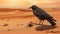 Tired Crow In Arid Desert: Photorealistic Alchemical Symbolism