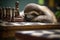 Tired and exhausted sloth fell asleep on the chess board