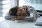 Tired exhausted young businesswoman falling asleep at work desk