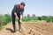 Tired farmer cultivates garden beds with hoe in summer day