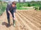 Tired farmer cultivates garden beds with hoe in summer day