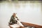 Tired fisherman wetting hand in muddy water, freshing up, while sitting in boat with dog.