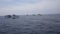 Tired fishing fleet getting back