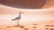 Tired Gull Walking Through Desert
