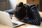 Tired Indian woman falling asleep at desk, lack of sleep