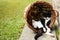 Tired kitten sleeping in funny position hidden in vintage basket