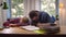 Tired lazy two students sitting at desk with books at home living room interior. Realtime