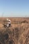 Tired little girl with bike goes uphill