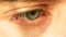 Tired man`s eye with red capillaries and eyelashes close
