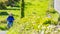 Tired mature Mexican woman riding her bicycle among the meadows of a hill