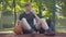 Tired sportsman drinking refreshing water after training outdoors. Portrait of young redhead Caucasian man sitting on