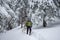 Tired traveler, in snowshoes, drags an armful of firewood