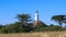 Tiritiri Matangi Lighthouse