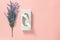 Tissue box and blue lavender on pink background