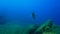 Titan Trigger Fish in the deep blue ocean