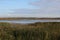 Titchwell Marshes RSPB