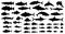 Title: Big collection of freshwater fish silhouettes.