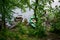 In the title role - an old, wooden and shabby boat of local residents