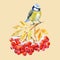 Titmouse bird and ashberry