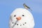Titmouse On A Snowman