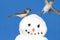 Titmouse On A Snowman