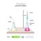 Titration, titrimetry or volumetric analysis