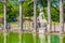 Tivoli - Villa Adriana Canopo - Lazio - Italy statue of roman hero god with helmet and shield