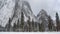 TL Yosemite Valley Trees and Rock Face