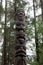 Tlingit Alaskan wood Carving man with beard and animals in trees