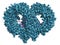 TLR13 toll-like receptor bound to RNA, space-filling model