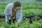 To assess the efficiency of modern greenhouse farming management, agricultural research expert inspect and collect data on crops,