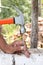 To hammer a nail with a hammer. Older worker carpenter