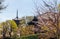 To-ji Gojunoto (Five-Story Pagoda) and Sakura in bloom in To-ji temple in Kyoto, Japan