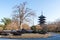 To-ji Temple Five-storied Pagoda. World Heritage Site. Kyoto, Japan