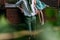 To look from behind bushes. blurred leaves at the beginning of the snapshot. a barefooted girl in a green dress sits on the back o