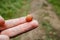 to pick blackberries, one berry in the hand