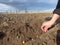 To plant onions. Planting onion. Sowing campaign in Ukraine. Farmer in field