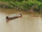 To use a small boat to catch fish in the river.