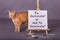 To Vaccinate or not to vaccinate message painted on white canvas cat by sign