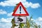 Toad or frog crossing warning sign showing triangle with exclamation mark and frog icon