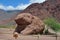 Toad rock formation. Quebrada de las Conchas.