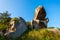 Toad rock in Mount Abu, India