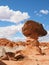 Toad Stool in the Grand Stair-case Escalante National Monument