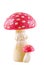 Toadstool.