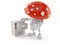 Toadstool character with archive
